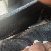 Photo submitted by sharron