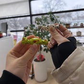 Photo submitted by Noemie