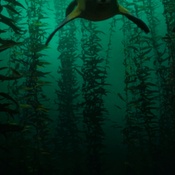 Photo submitted by Angelica