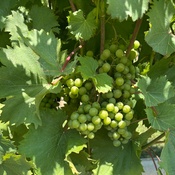 Photo submitted by Brendan