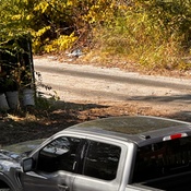 Photo submitted by Kim