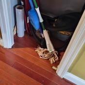 Photo submitted by Dawn