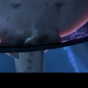 Photo submitted by Josephine