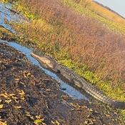 Photo submitted by michael