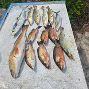 Photo submitted by Guest