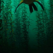 Photo submitted by Angelica