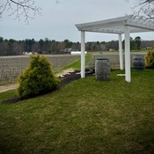 Photo submitted by Rashell