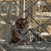 Photo submitted by Kota