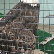 Photo submitted by Chloa