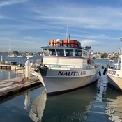 Photo submitted by Sara