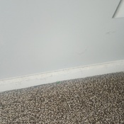 Photo submitted by Tiona