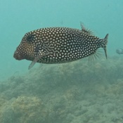 Photo submitted by Christina