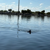 Photo submitted by Ying