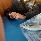 Photo submitted by Jay