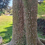 Photo submitted by Vicki