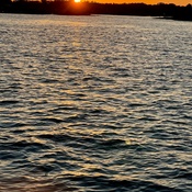 Photo submitted by Pam