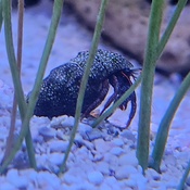 Photo submitted by Eli