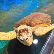 Photo submitted by Guest