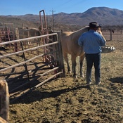 Photo submitted by Lindsay