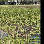 Photo submitted by Nana