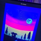 Photo submitted by Erica