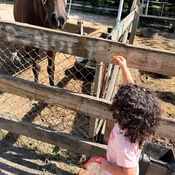 Photo submitted by Stephanie