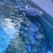 Photo submitted by Carla