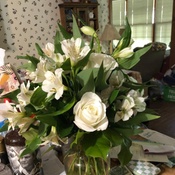 Photo submitted by David