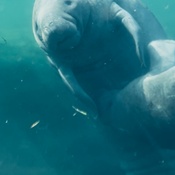 Photo submitted by Rachel