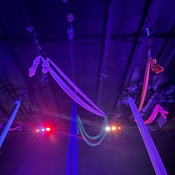 Photo submitted by Linzy