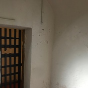 Photo submitted by Monique