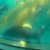 Photo submitted by Celia