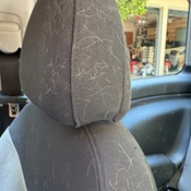 Photo submitted by Johnna