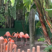 Photo submitted by KingZi