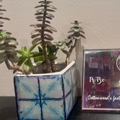 Photo submitted by Gwen