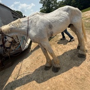 Photo submitted by Groupon