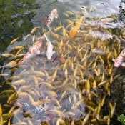 Photo submitted by Guest