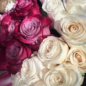 Photo submitted by Marina