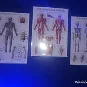 Photo submitted by Kim