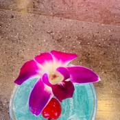 Photo submitted by Solana