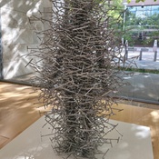 Photo submitted by Rahul