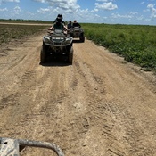 Photo submitted by Lilian