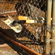 Photo submitted by Debbie