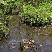 Photo submitted by nicole