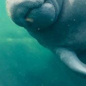 Photo submitted by Rachel