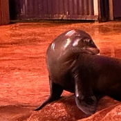 Photo submitted by sonita