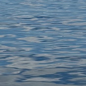 Photo submitted by drisana