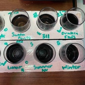 Photo submitted by Eliya