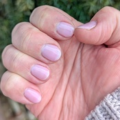 Photo submitted by Guest