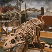 Photo submitted by David